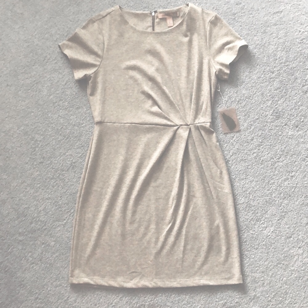 Forever21 Gray Dress with Pleated Waist Detail